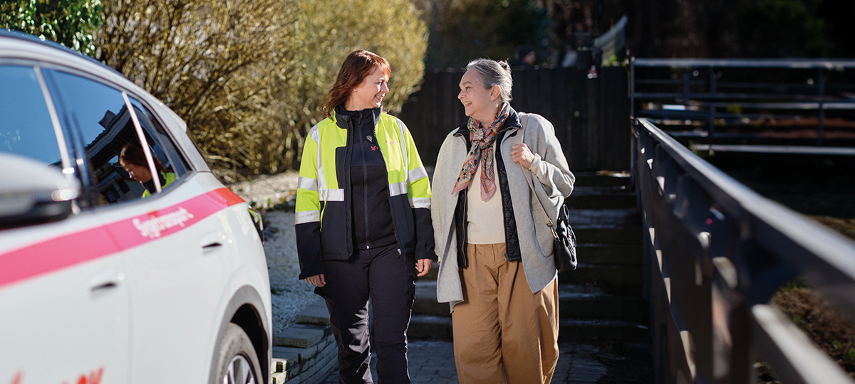 Visual content for the webpage