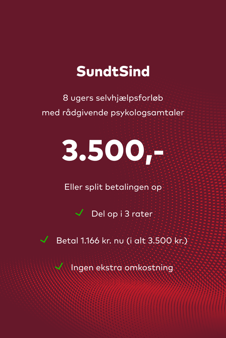 sundtsind-produktkort-ratebetaling.png