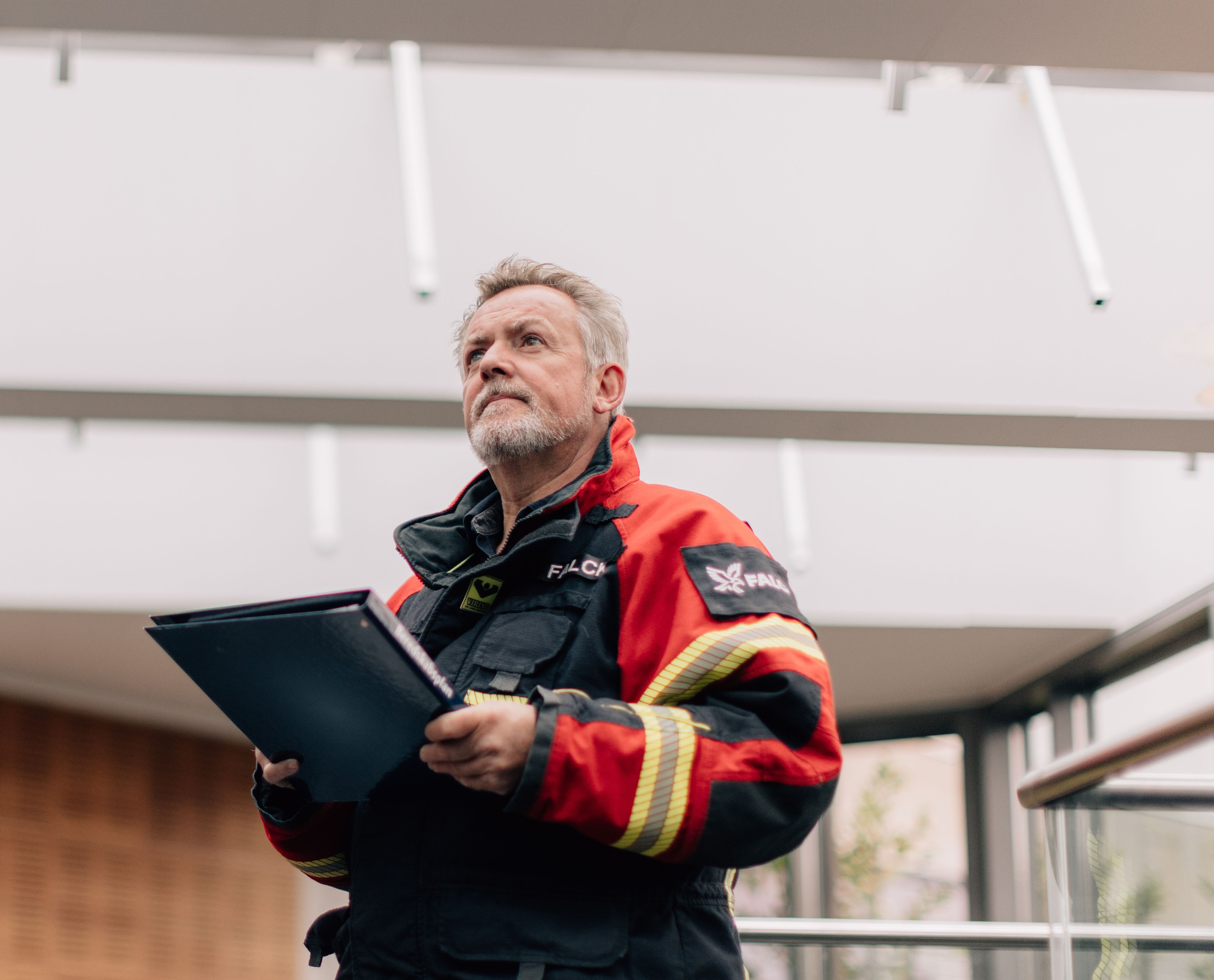 Visual content for the webpage