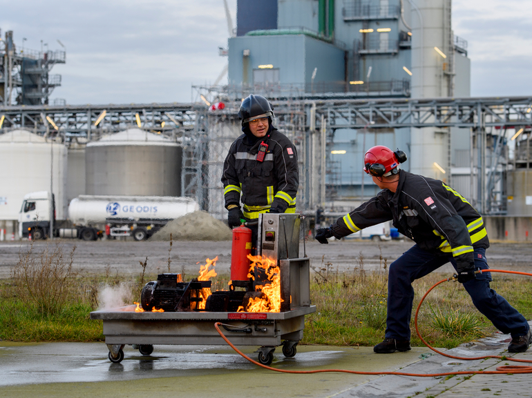 Visual content for the webpage