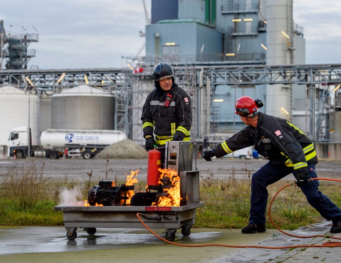 Visual content for the webpage