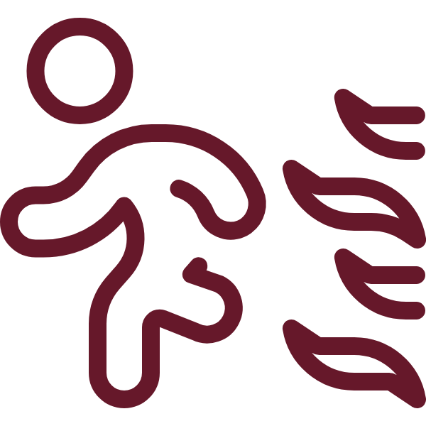 Visual content for the webpage