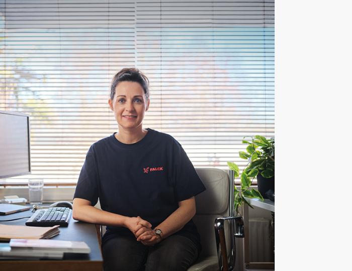 Visual content for the webpage