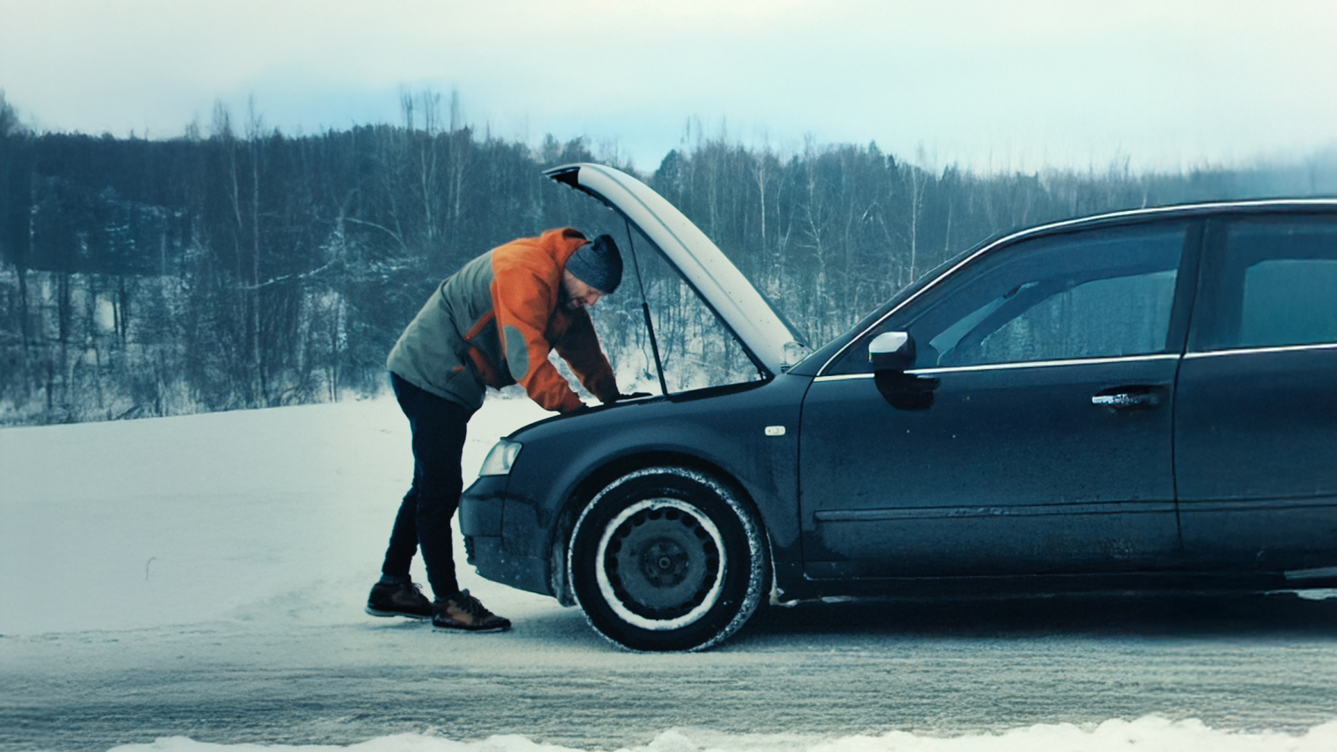 Visual content for the webpage