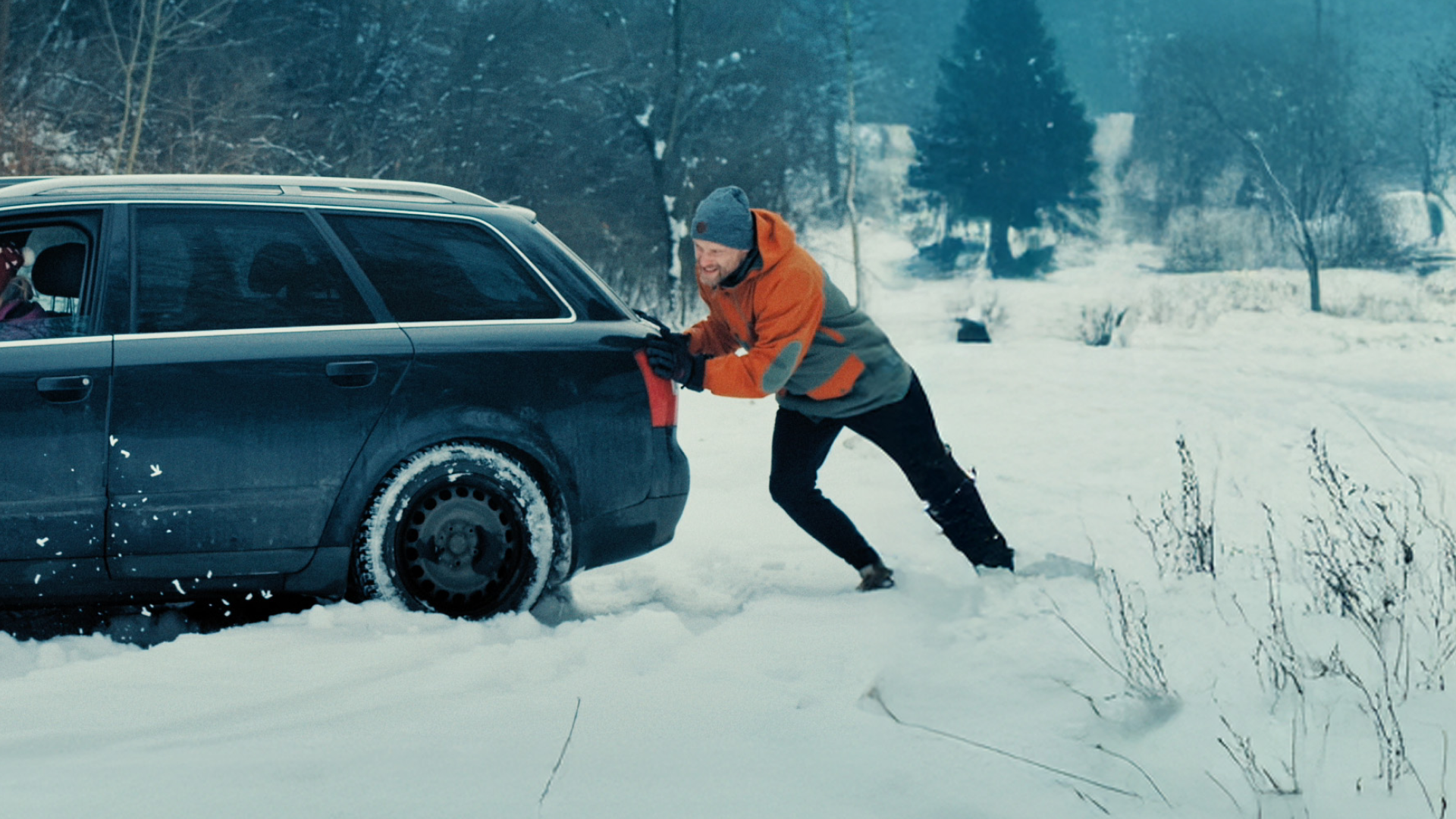 Visual content for the webpage