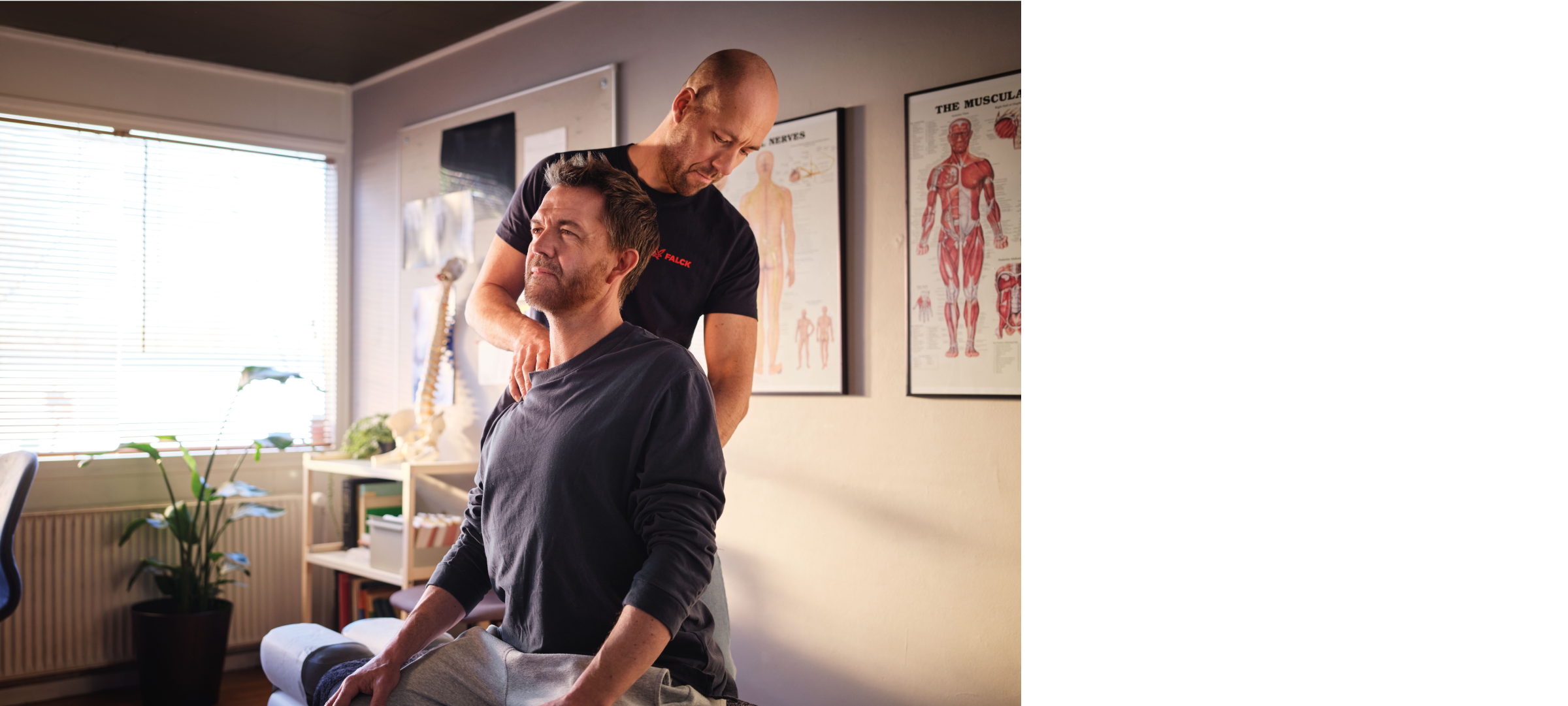 Visual content for the webpage