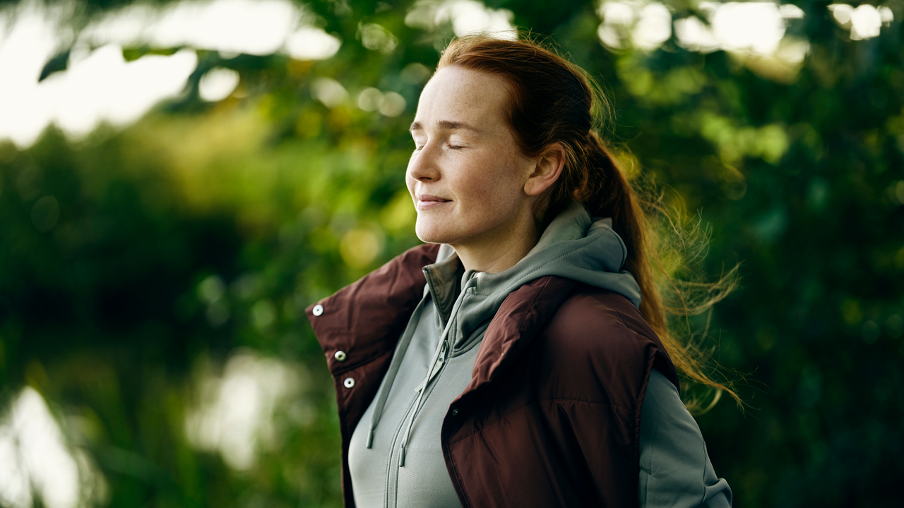 Visual content for the webpage