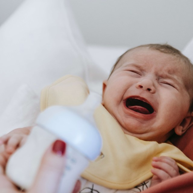 Visual content for the webpage