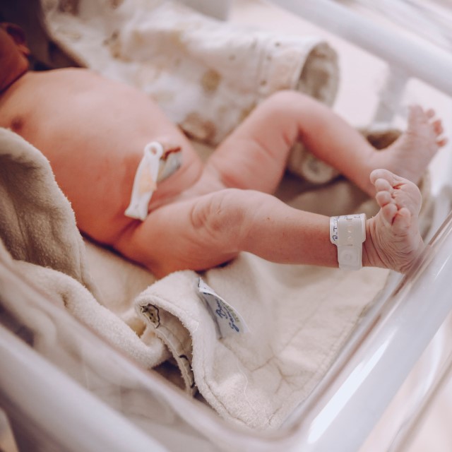 Visual content for the webpage