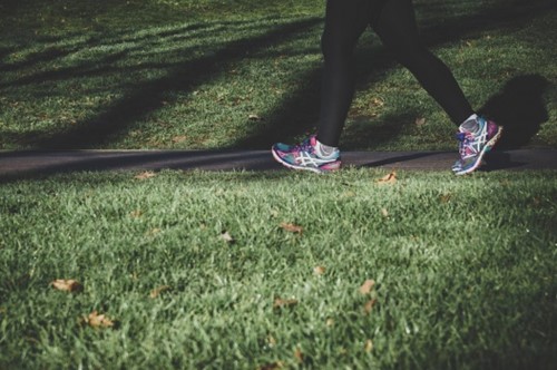 Visual content for the webpage