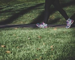 Visual content for the webpage