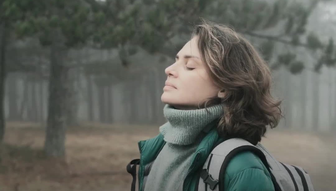 Visual content for the webpage