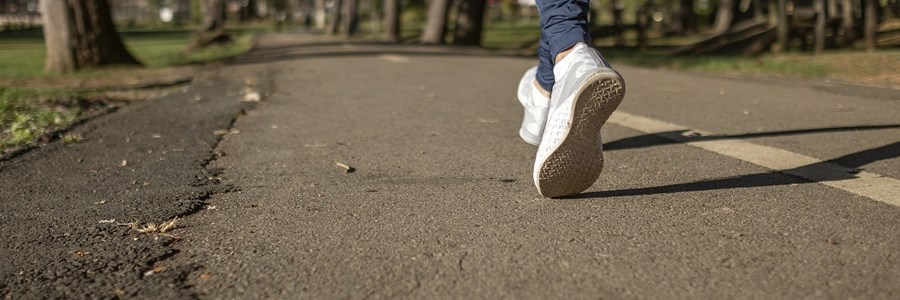 Visual content for the webpage