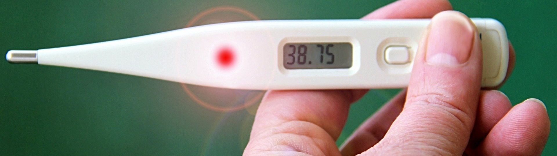 Visual content for the webpage