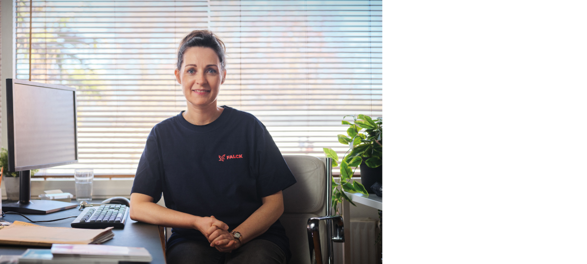 Visual content for the webpage