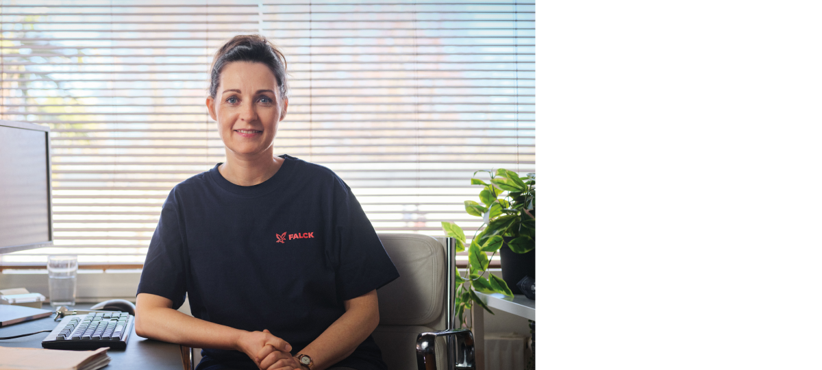 Visual content for the webpage