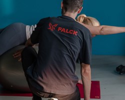 Visual content for the webpage