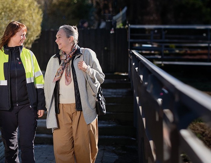 Visual content for the webpage