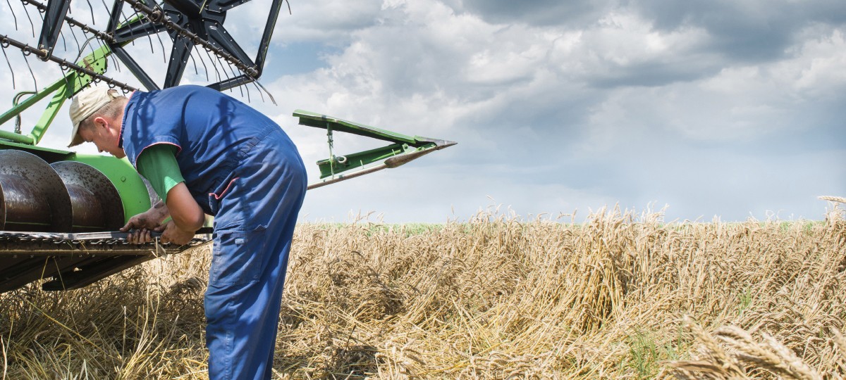 Visual content for the webpage