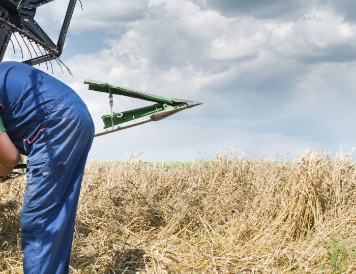 Visual content for the webpage