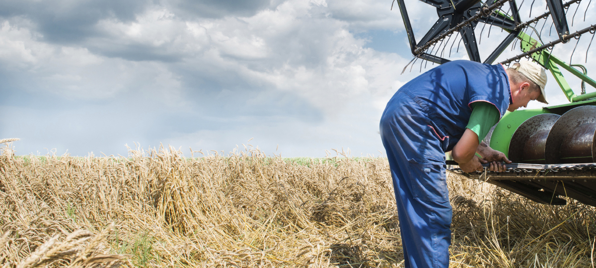 Visual content for the webpage