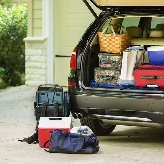 Visual content for the webpage