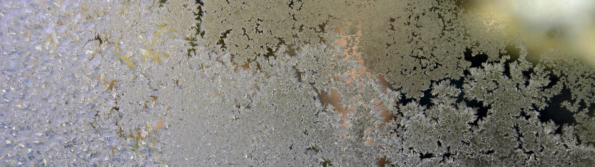 Visual content for the webpage