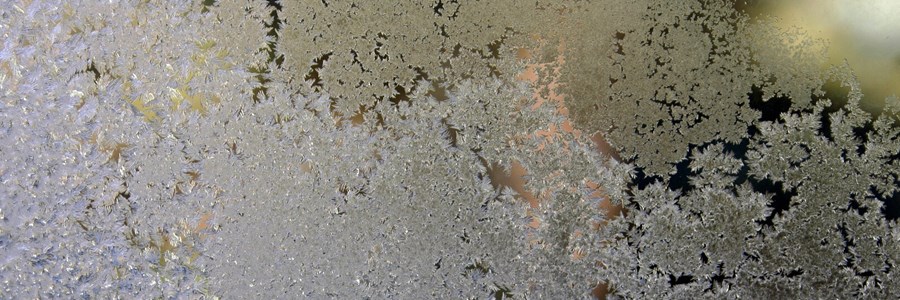 Visual content for the webpage