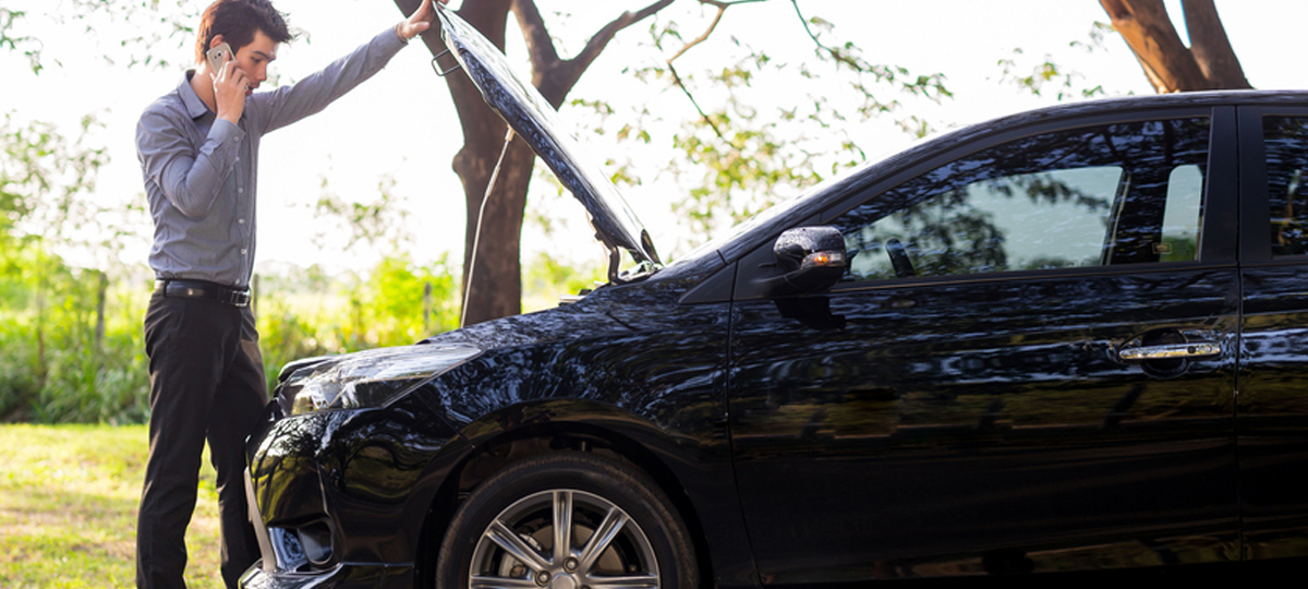 Visual content for the webpage