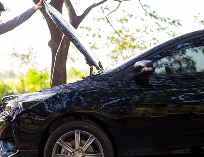 Visual content for the webpage