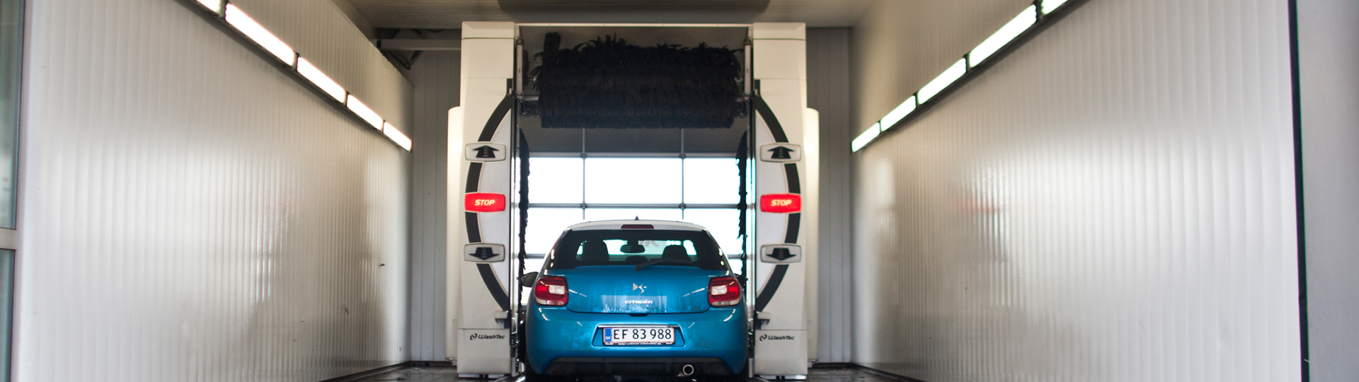 Visual content for the webpage