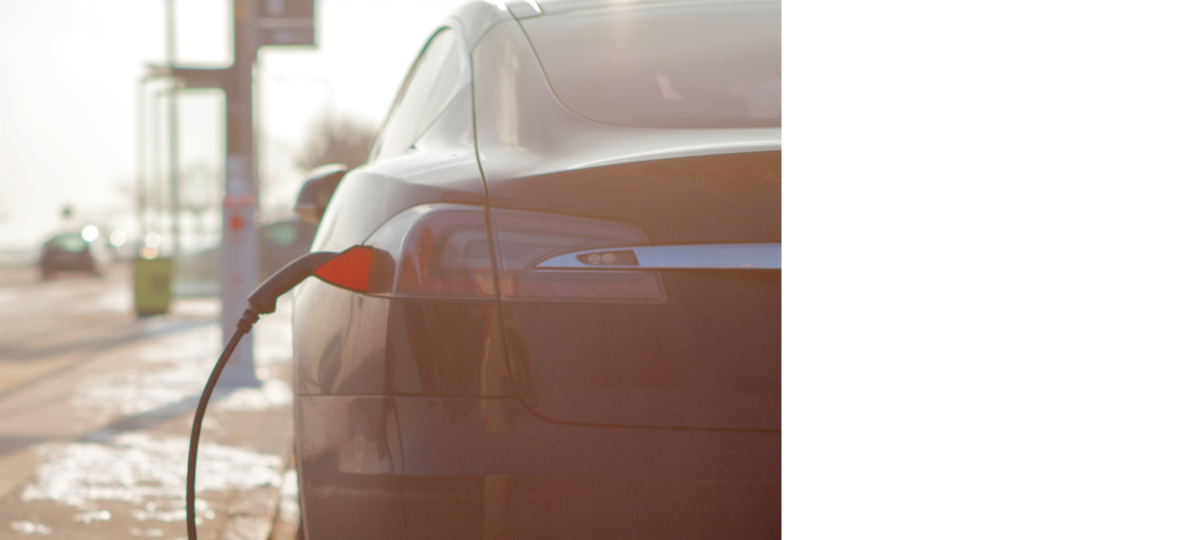 Visual content for the webpage