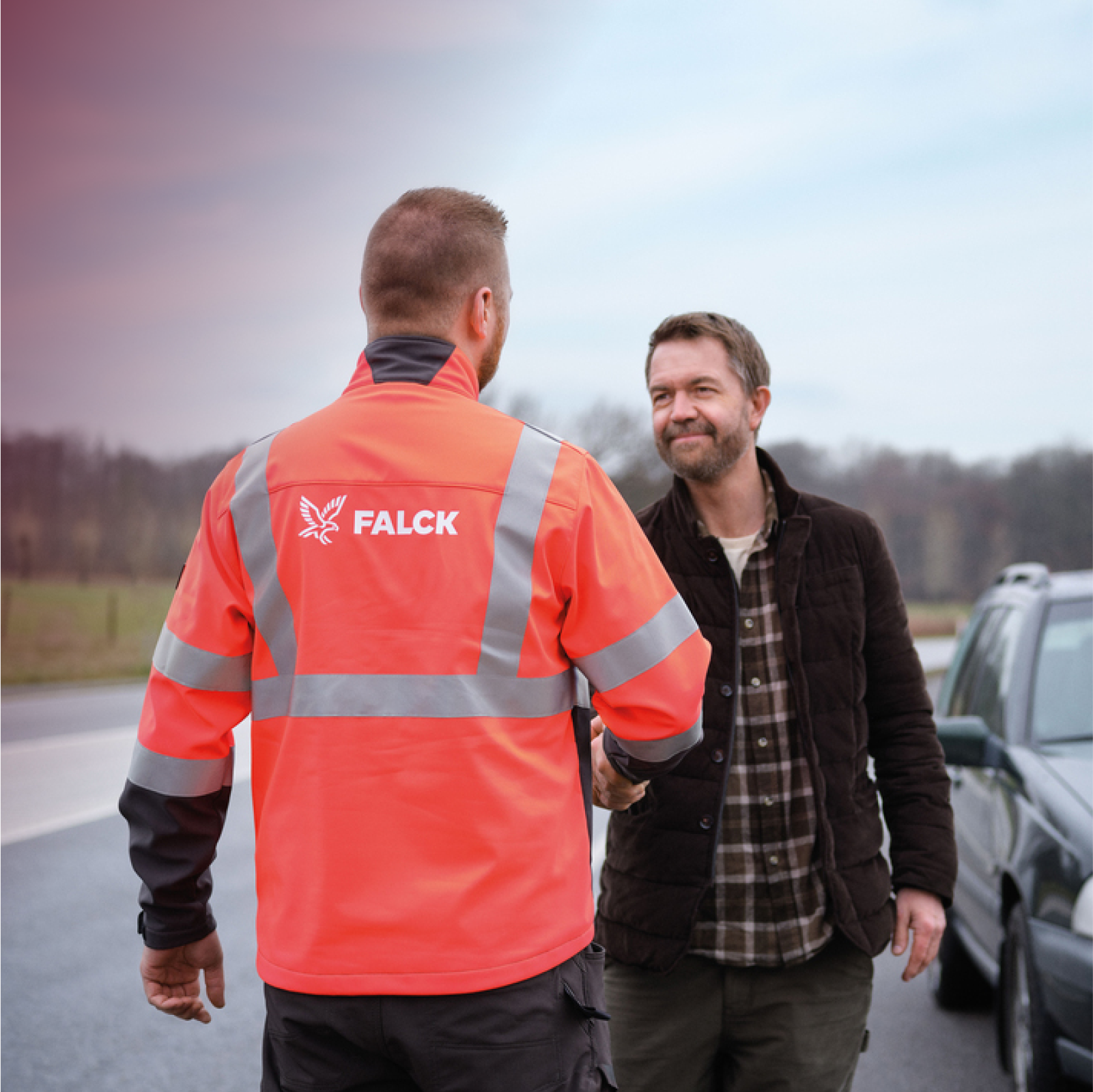 Visual content for the webpage