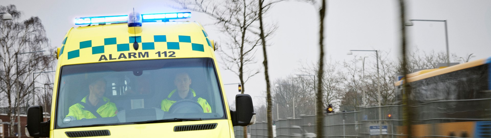 Visual content for the webpage