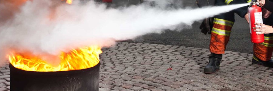 Visual content for the webpage