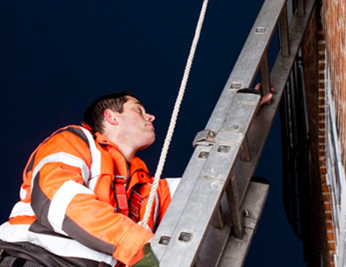 Visual content for the webpage