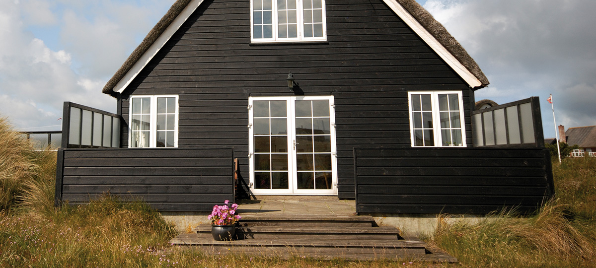 Visual content for the webpage