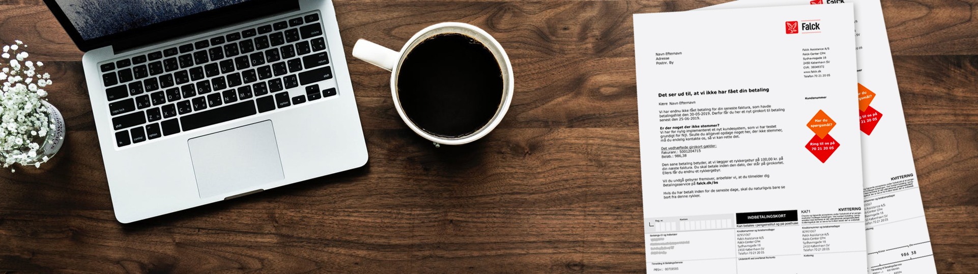 Visual content for the webpage