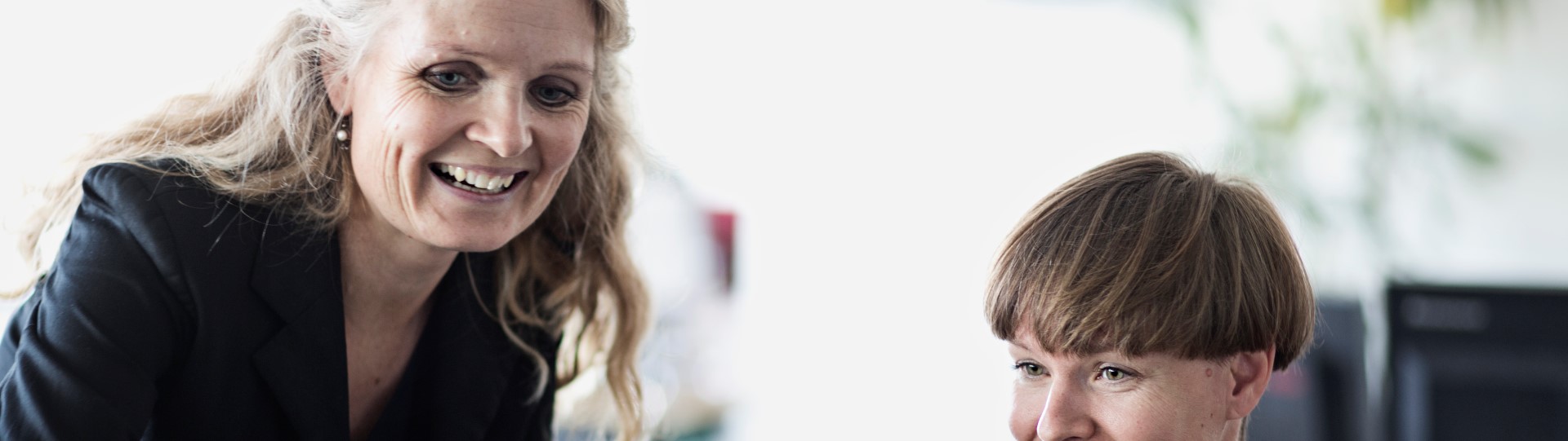 Visual content for the webpage