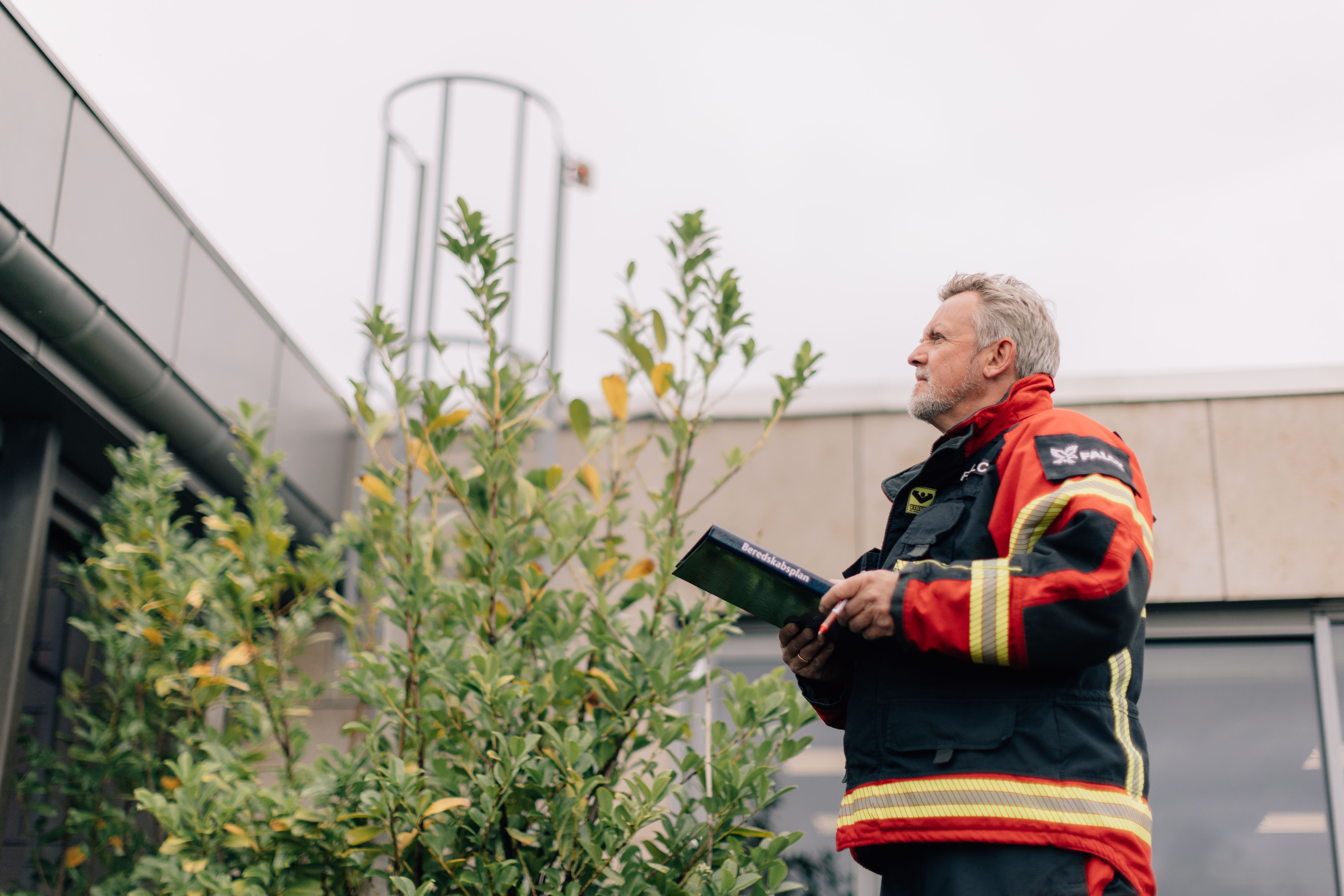 Visual content for the webpage