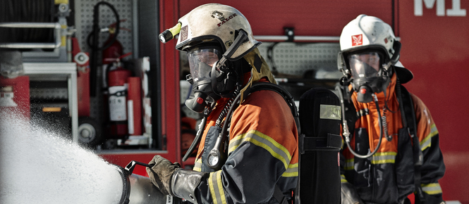 Visual content for the webpage