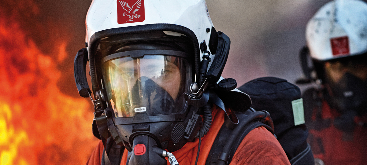 Visual content for the webpage