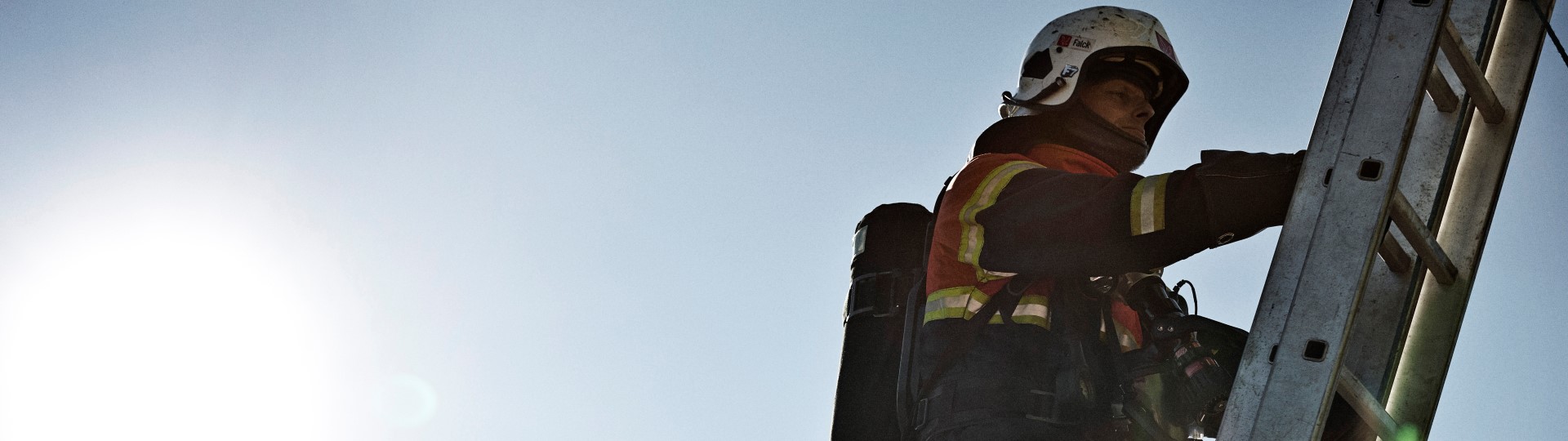 Visual content for the webpage