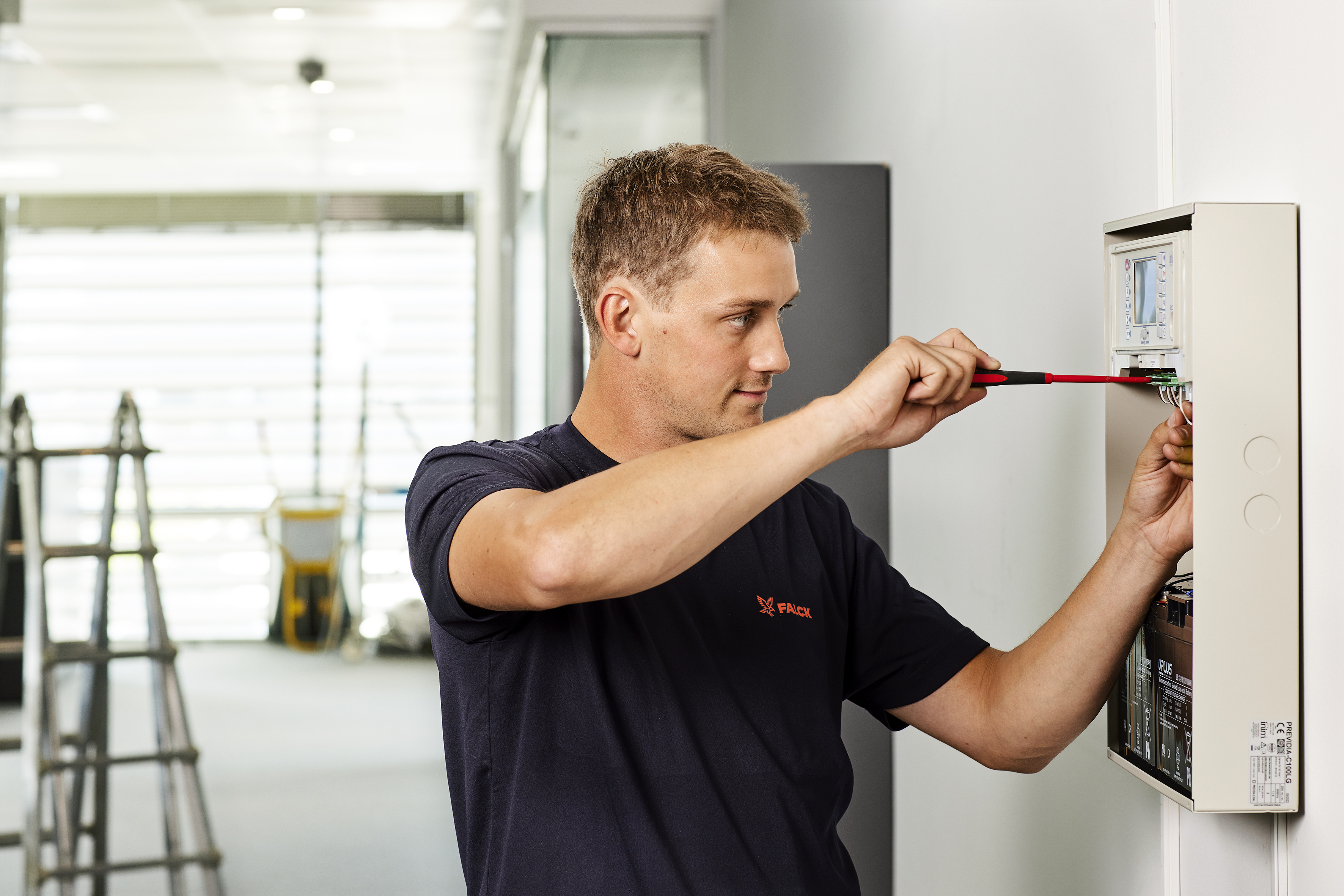 Visual content for the webpage