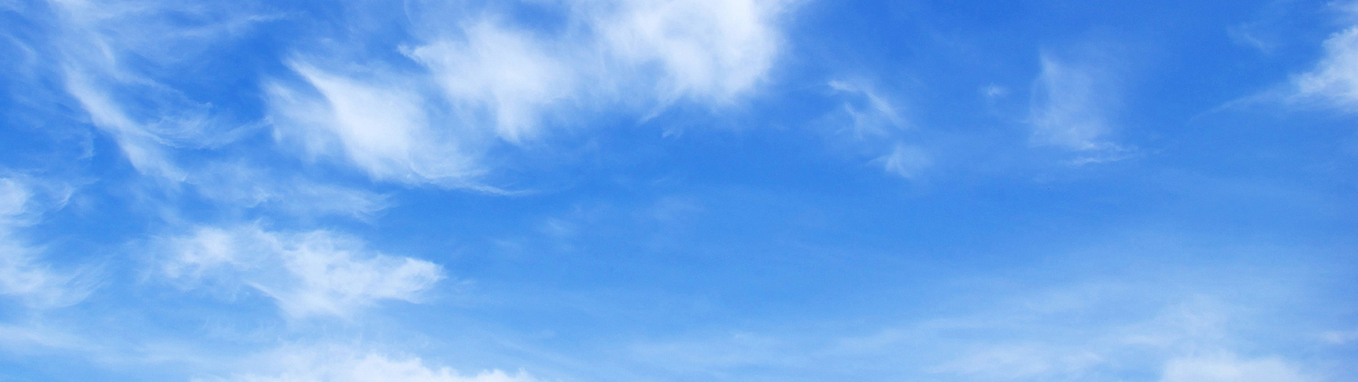 Visual content for the webpage