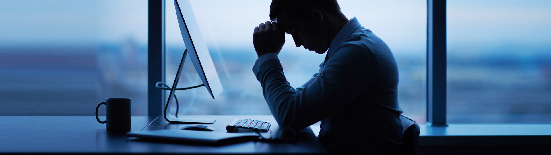 Visual content for the webpage