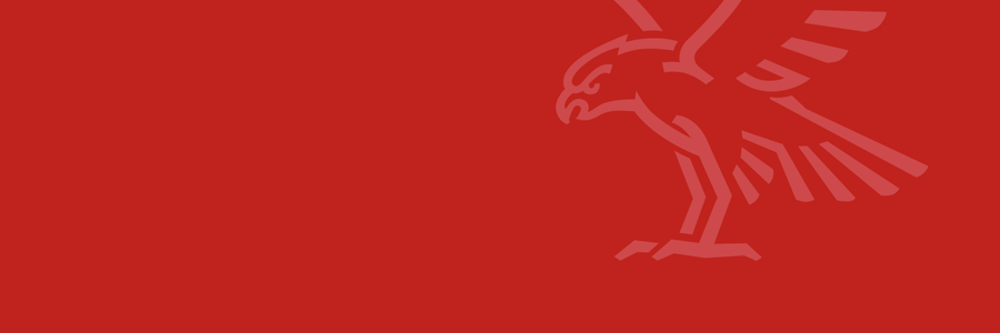 Visual content for the webpage