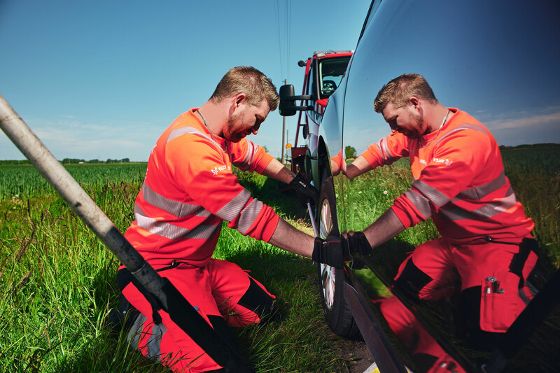 Visual content for the webpage