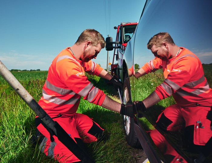 Visual content for the webpage