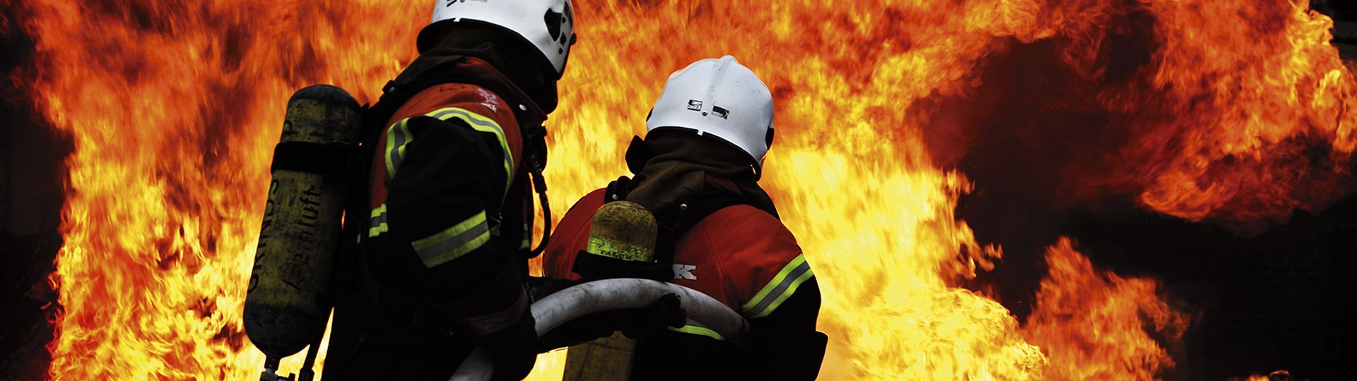 Visual content for the webpage